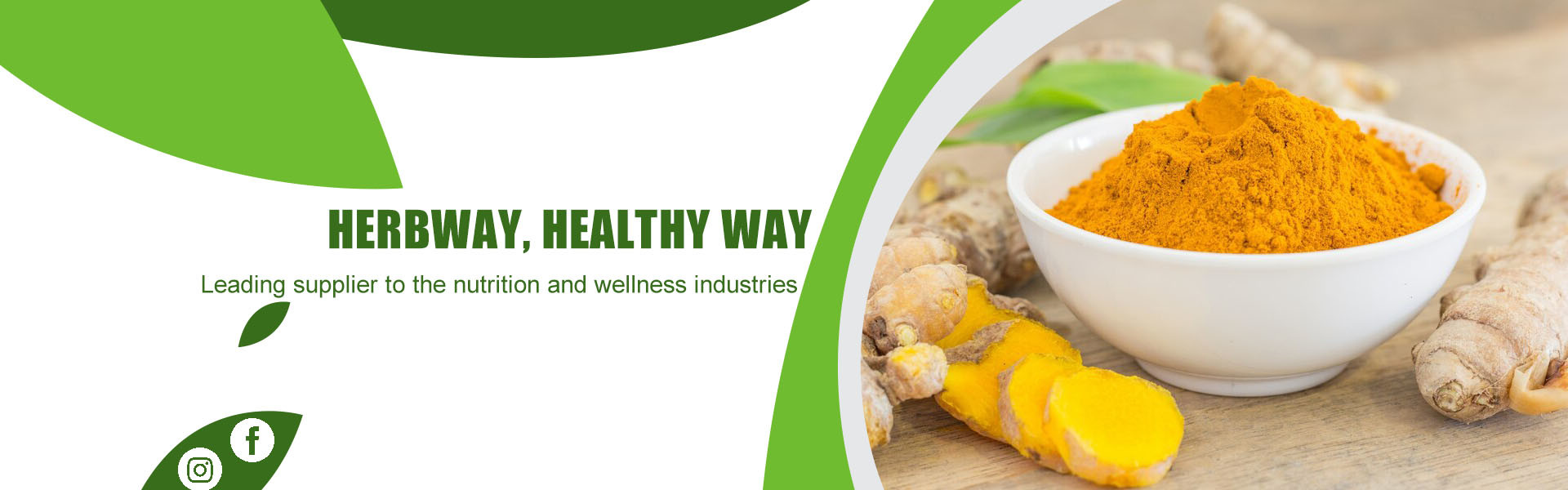 qualidade Extrato vegetal em pó fábrica