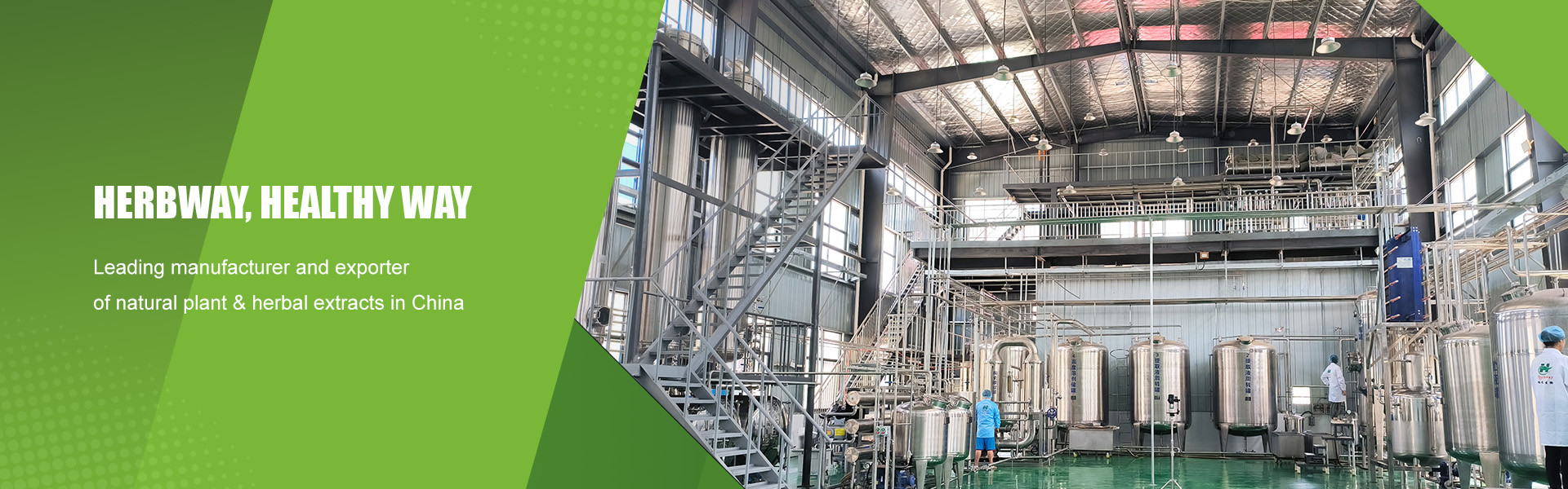 qualidade Extrato vegetal em pó fábrica