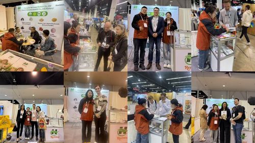 Latest company news about Changsha Herbway Biotech Co., Ltd brilha na Exposição de Produtos Naturais Ocidente 2025!