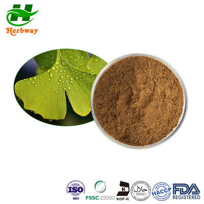 quality Extracto de Ginkgo Biloba / Extracto de Ginkgo em Pó CAS 90045-36-6 factory