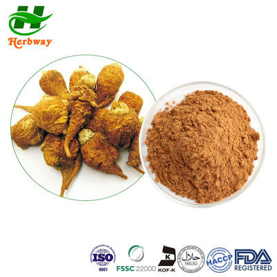 quality Saúde óssea Tongkat Ali Extract Powder Maca Root Extract powder factory